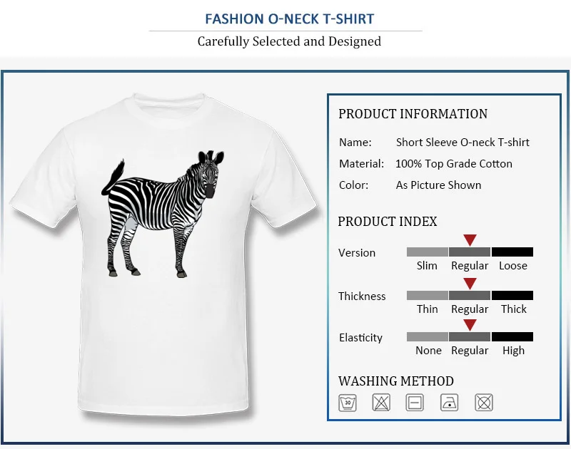 zebra-png-image-2123_detail_white