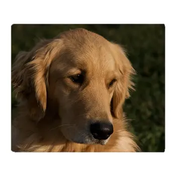 

(2) Golden Retriever Head Shot Soft Fleece Throw Blanket Air/Sofa/Bedding Soft Winter Bedsheet