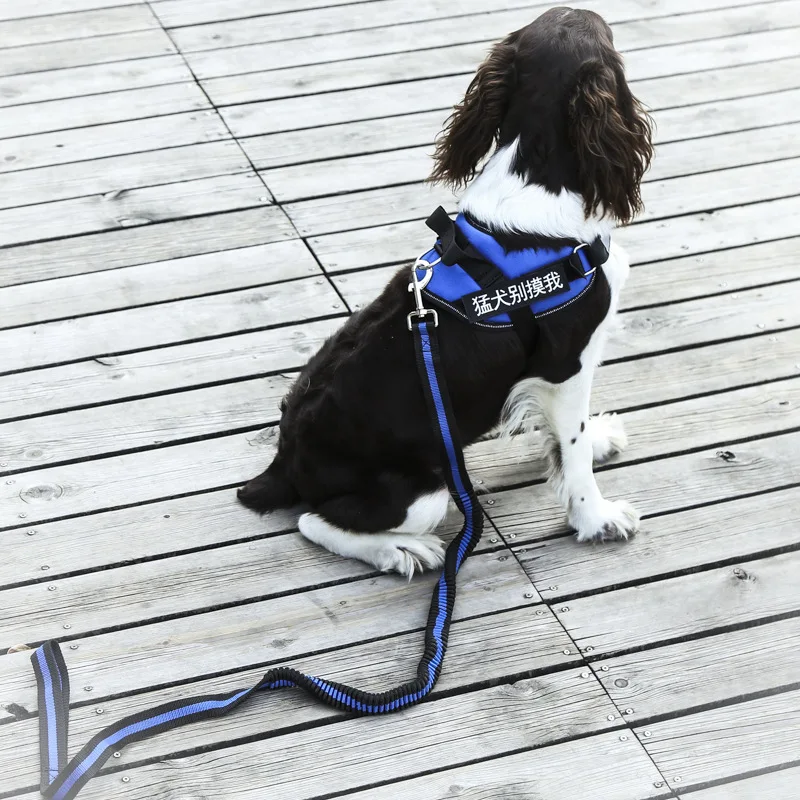 Выдвижной Поводок для собак, регулируемый поводок для собак, тренировочная полоска, поводок для бега, Laisse Chien, товары для домашних животных