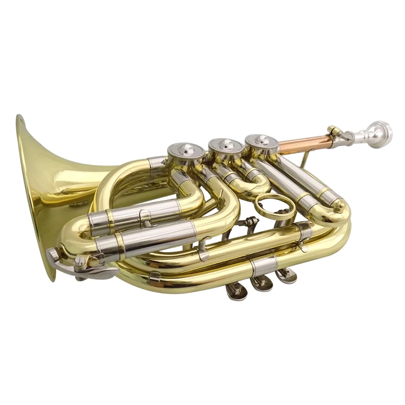 Bb Rotary valve Cornet Brass cornet Brass wind musical instrument Carving your own design on the bell