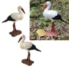 2 Pieces Miniature Animals Birds Model Figurine Statue Sculpture Toy Lawn Garden Decor White Crane ► Photo 2/6