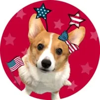 Cute Popsoket Dog Giraffe Mandala Pocket Socket Phone Ring Smartphones and Tablets Grip Stand Flexible попсокет Air Bag Popsocet - Color: 12
