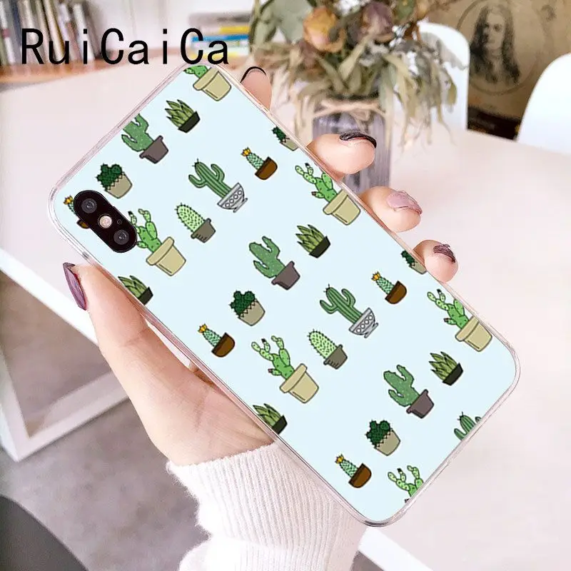 Candy Color Art Cactus Plant