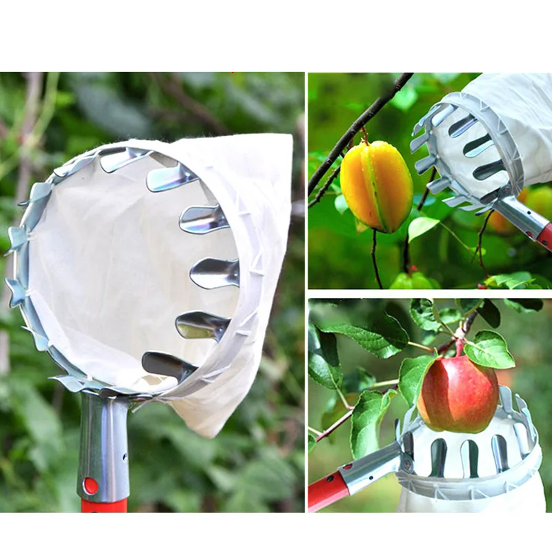 

Fruit Picker Metal Hand Tool High Tree Convenient Easy to Use Horticultural Fruit Picker Gardening Apple Peach Picking Tools
