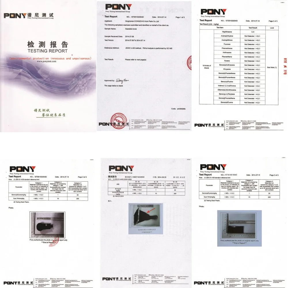 dongzhao02