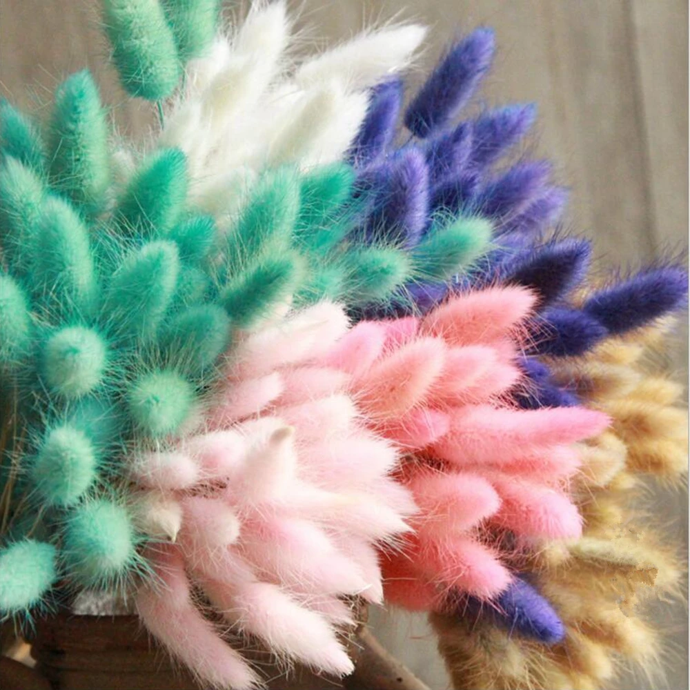 

30pcs/LOT rabbit grass home decoration flower arrangement natural dried flowers garden real flower dog tail grass shooting props
