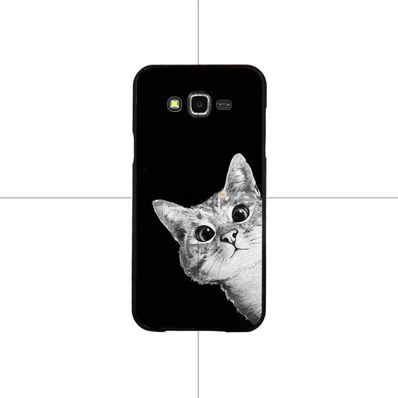 Cartoon Cat Cute Cats Dog