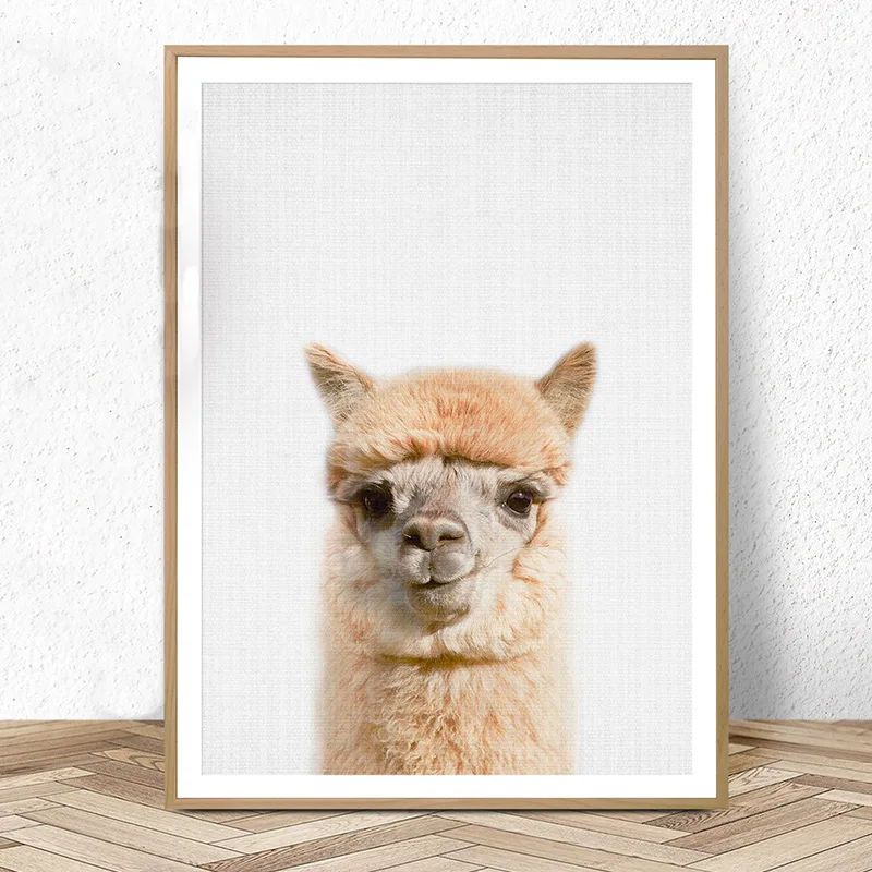 

Animal Alpaca Print Kawai Llama Wall Art Cute Wall Art Nursery Decor Posters and Prints Nursery Animal Pictures for Living Room