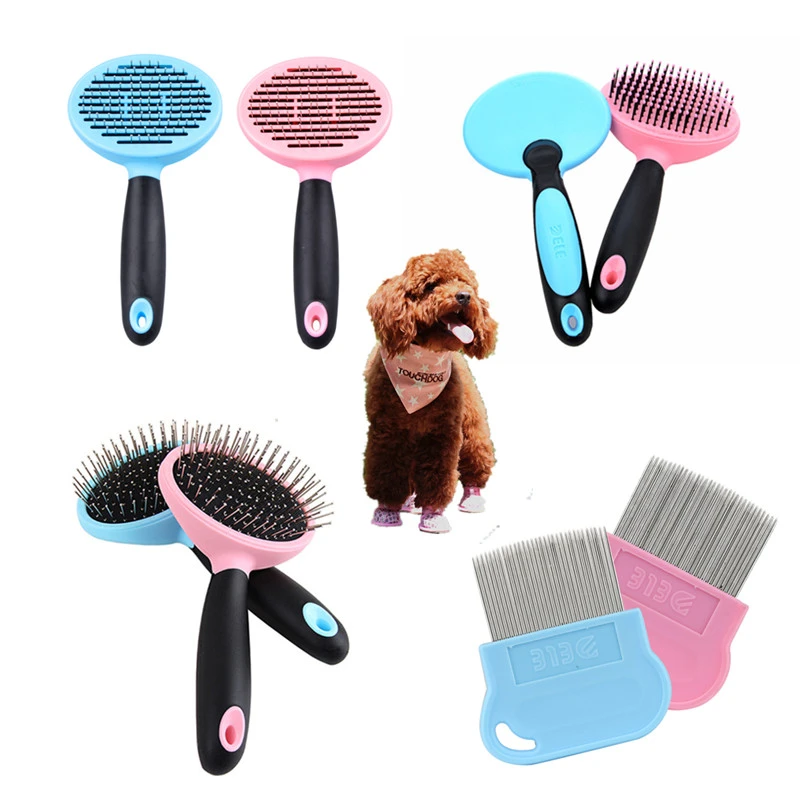 How Do You Brush A Bichon Frise