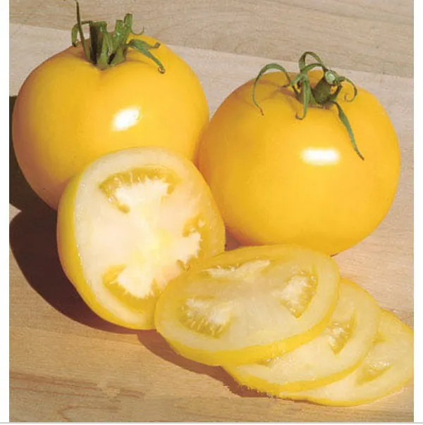 yellow fruits is tomato a fruit or a vegetable yellow fruits is tomato a fruit or a vegetable