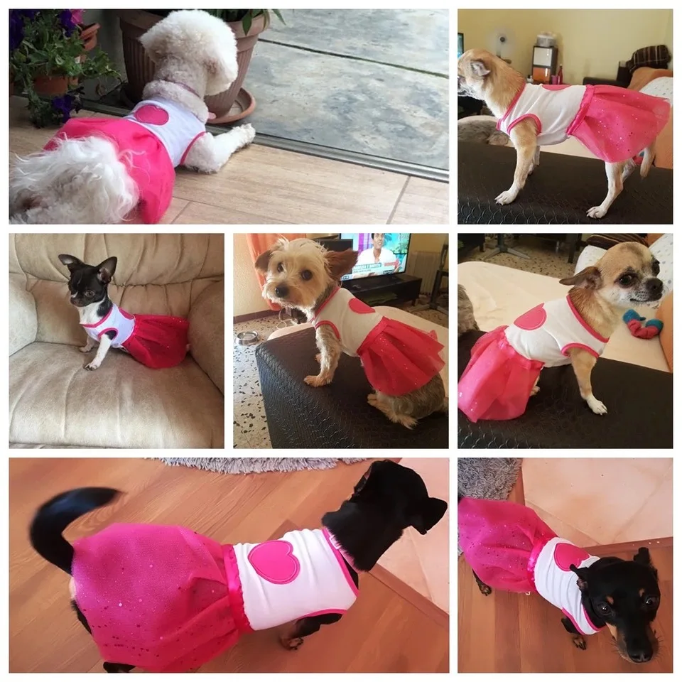 微信图片_20190427232006