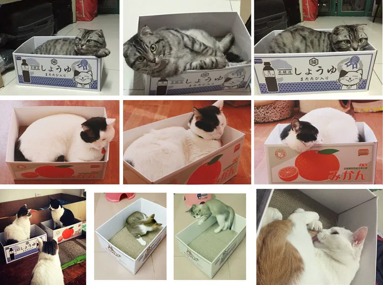 新しい猫おもちゃ段ボール スクラッチボード猫難問マット猫ソファ面白い猫の おもちゃ段ボール箱 Toy Money Box Toy Box Gametoy Box Manufacturers Aliexpress