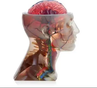 3D печать услуги полноцветная полиструйная добавка технология производства для