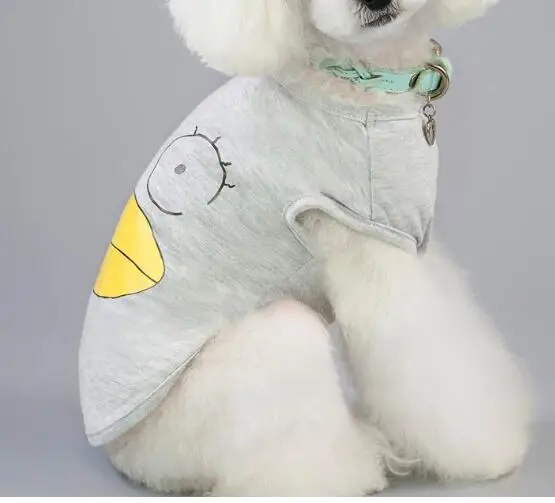 QQ20190318231010