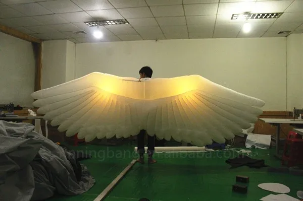 inflatable wing (4)