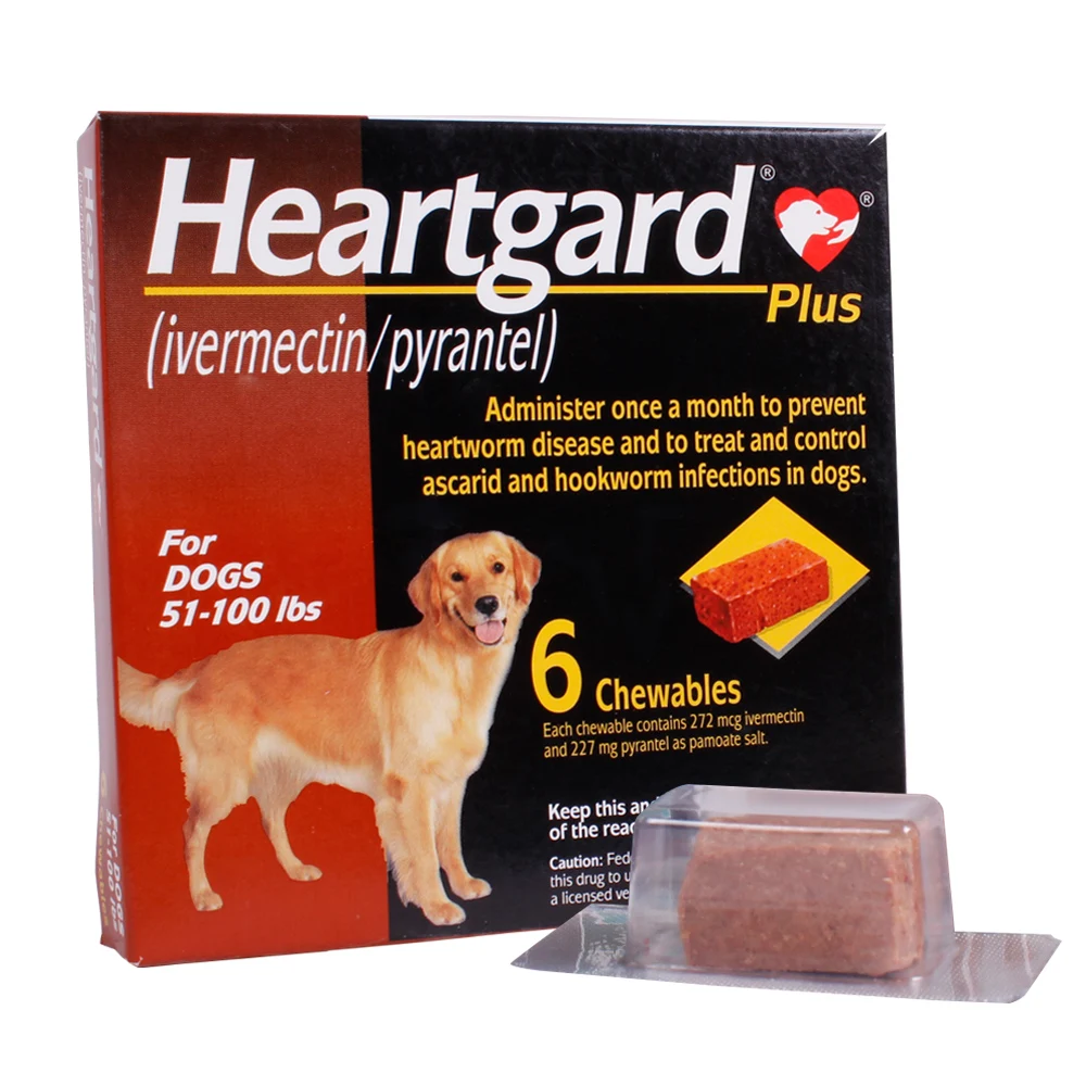 heart medicine for dogs