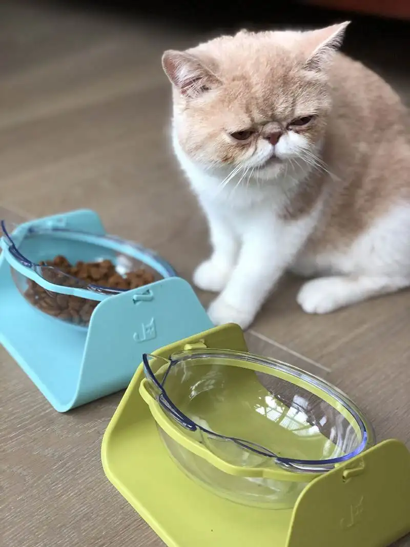 Pet Dog Dish Feeders Tableware 4 Colors 15 Degree Adjustable Feeder Bowl Cat feed bowl Waterer Feeding Food | Дом и сад