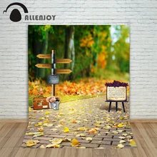 Allenjoy photographic background Woods road signs backdrops children boy summer customize 8x12ft