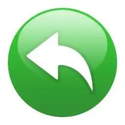 back home green