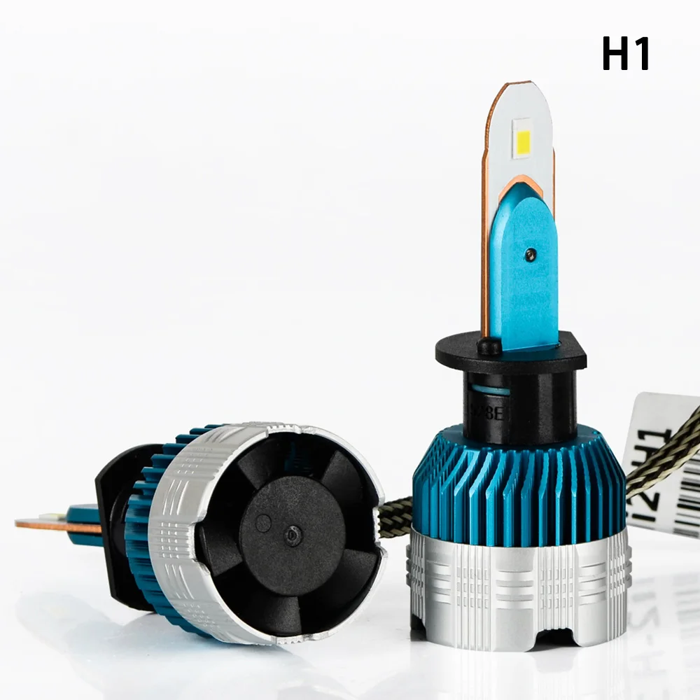 H1