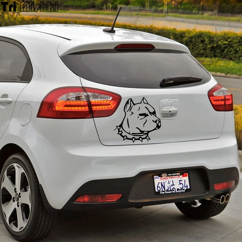 kia rio (1)_