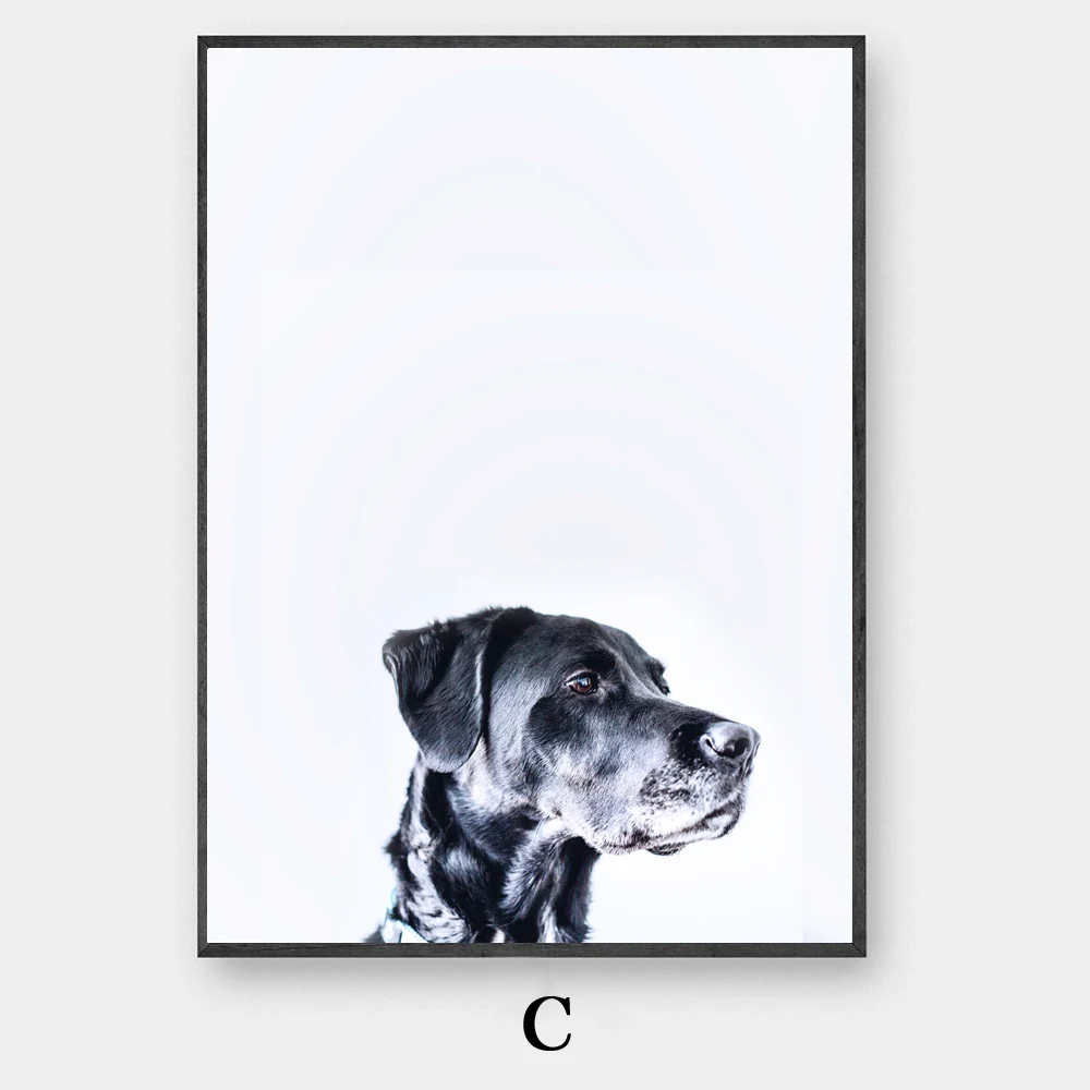 C