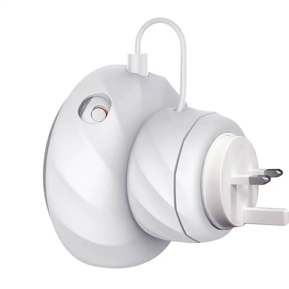 google home au version