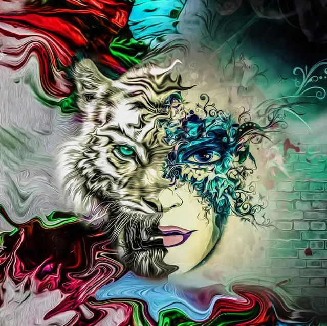 QQ截图20190522114244