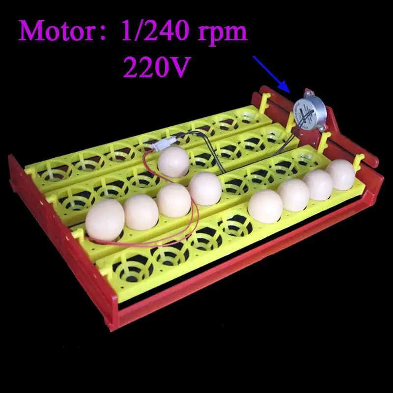 32 яйца поворотный лоток автоматический инкубатор для яиц лоток куриный утиный яйца лоток 110 В/220 В/12 в 4*8 отверстия оборудование для инкубации цыплят - Цвет: 1I240rpm 220V
