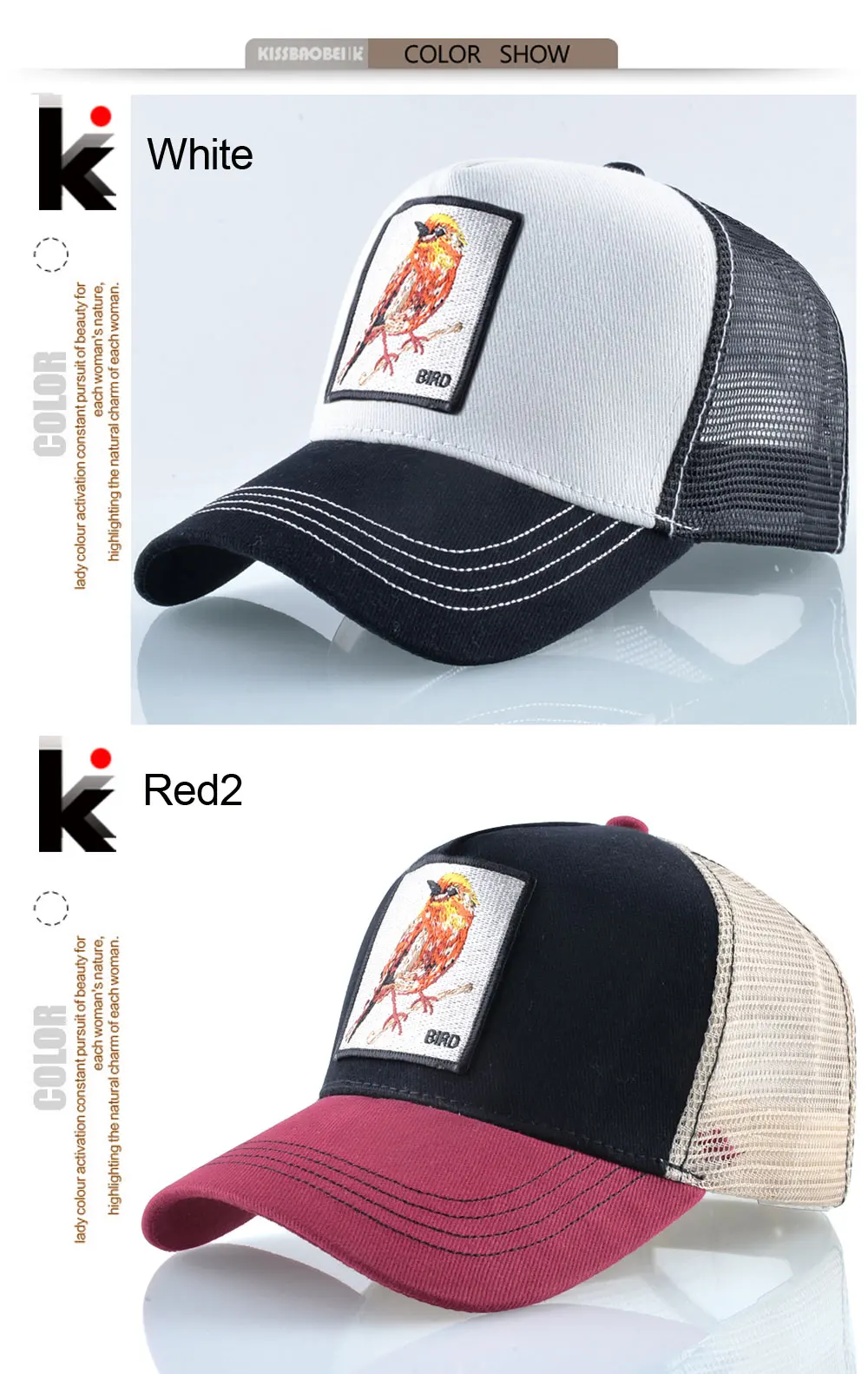 K_04