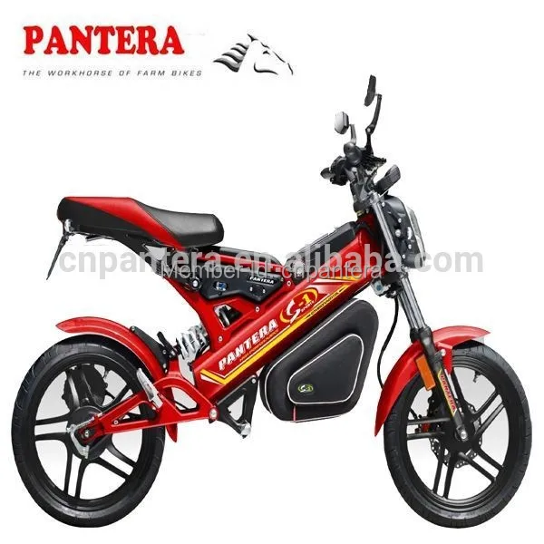 2x2 Electric Bike