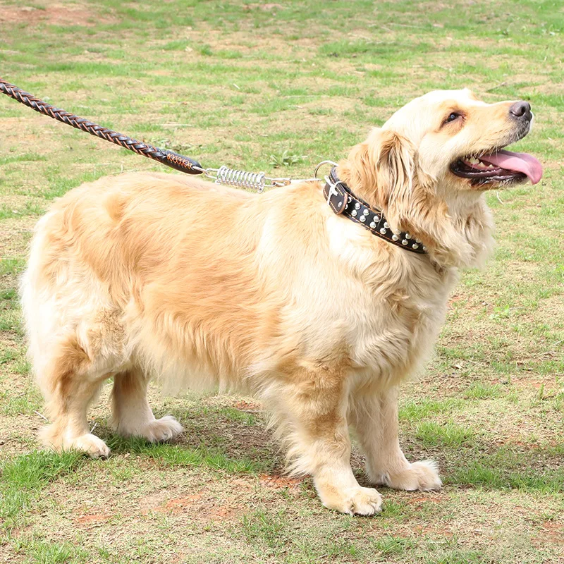 Two-layer cowhide braided collar with spring pet traction rope Large dog with thick cowhide dog rope Two-layer cowhide braided collar with spring pet traction rope Large dog with thick cowhide dog rope