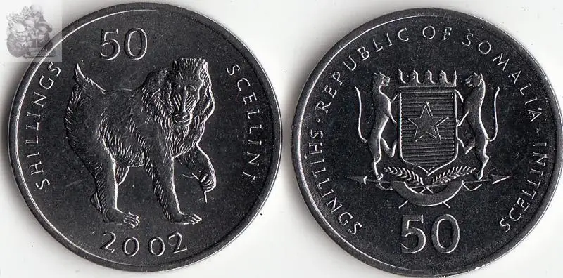 

Somalia 50 shillings Coin Africa 100% real and Original Coins for Personal Collection UNC New