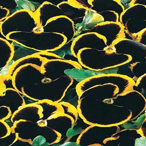 popular color combinations yellow-buy cheap color combinations popular color combinations yellow-buy cheap color combinations