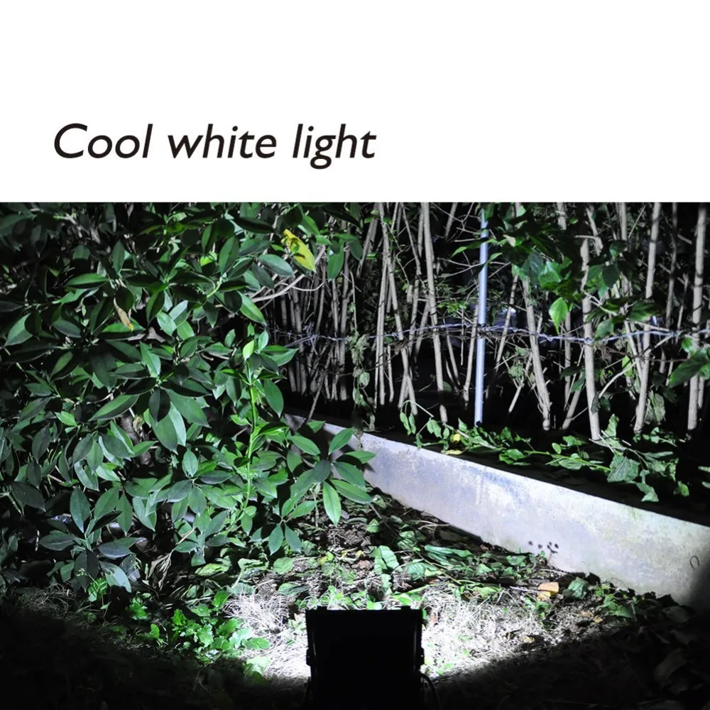 71nVrhollvL._SL1001_