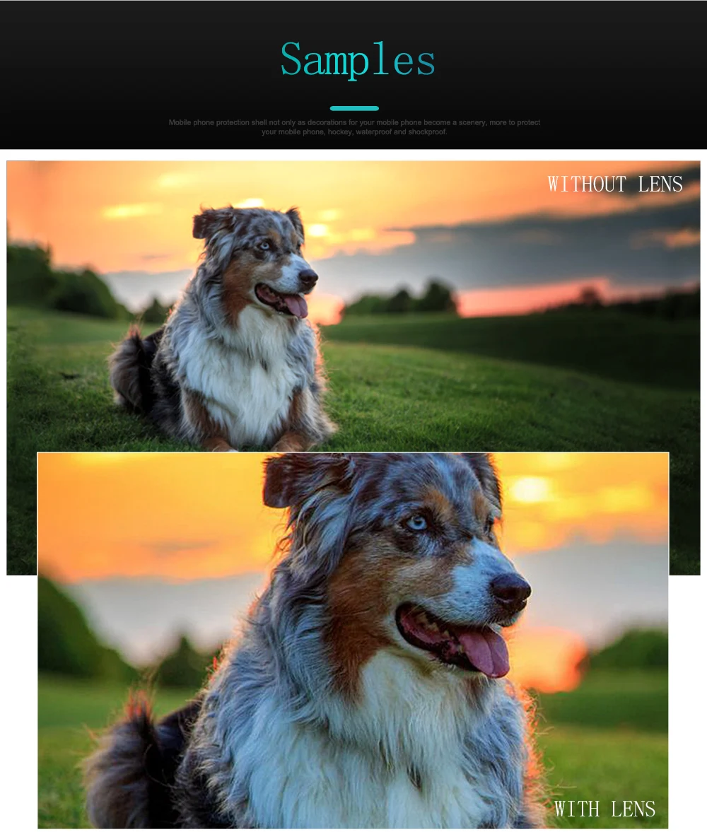 _11