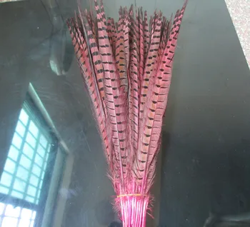 

Wholesale 100 pcs beautiful pink Pheasant Feather 16-18 inches 40-45 cm free shipping