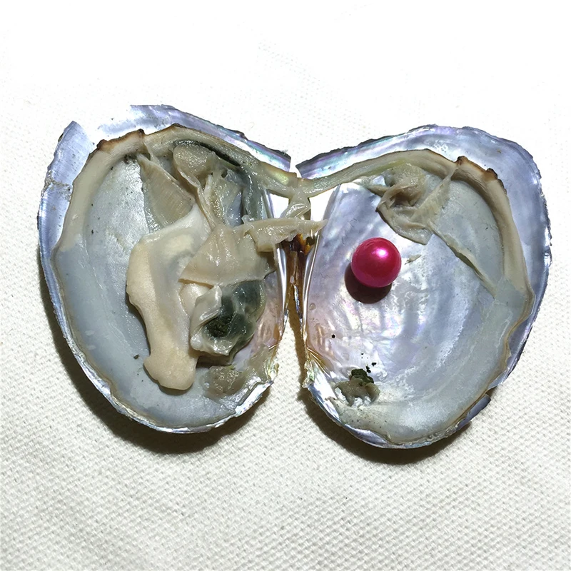 a-1 (8)