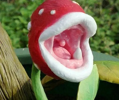 送料無料100昆虫引く植物魔女肉食植物デスクポット盆栽種子小説フラワー種子用ホームガーデン