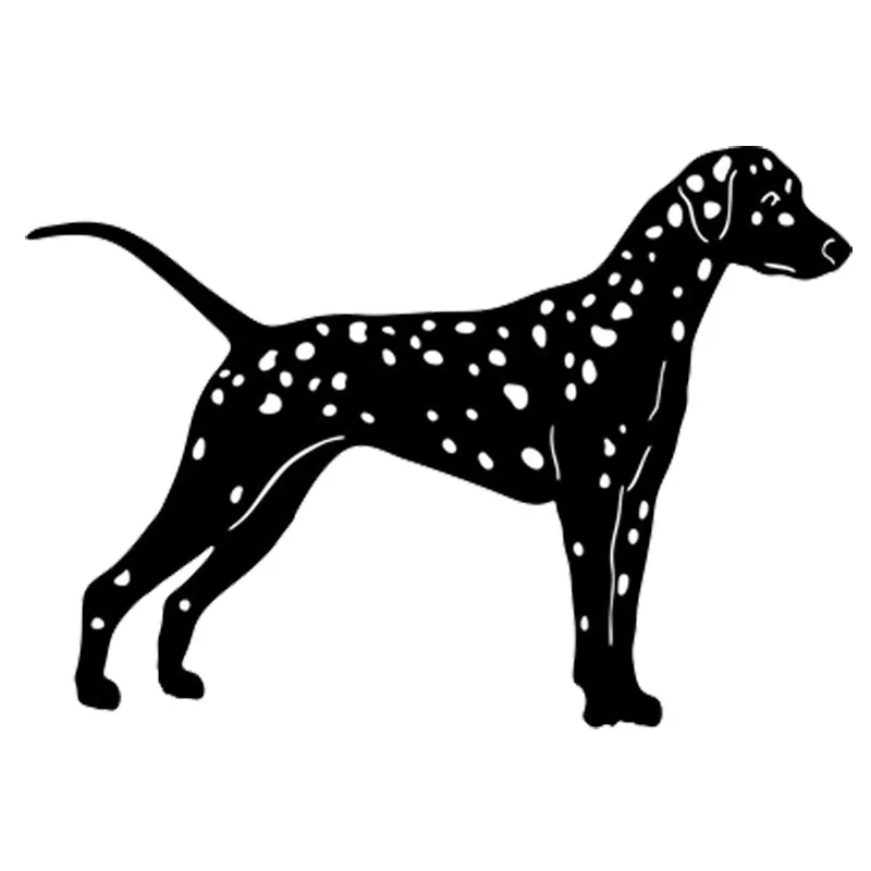 Dalmata dally consultará al palabra perros pegatinas auto adhesivos para coches perro diapositiva