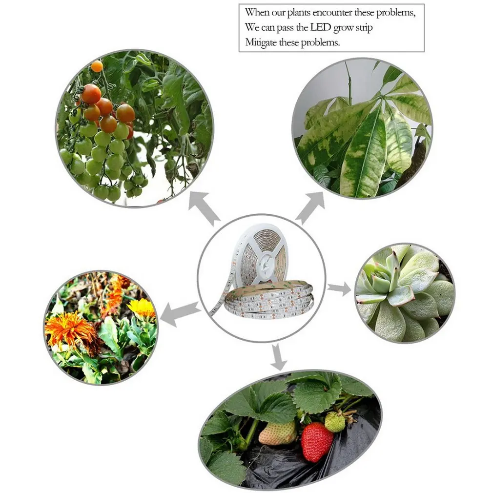 Led Plant Growth Light Dc12v Bar With Adapter And Switch Set | Освещение