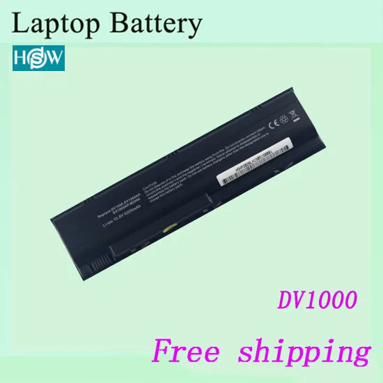 DV1000-6