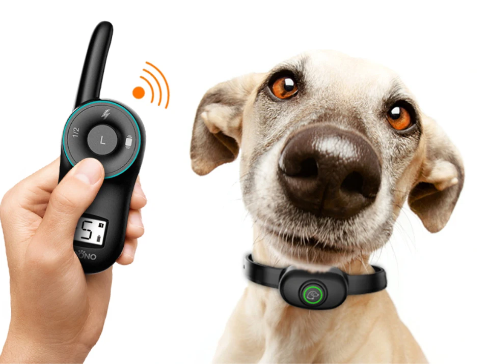 9th Dog Electric Collar DOG300