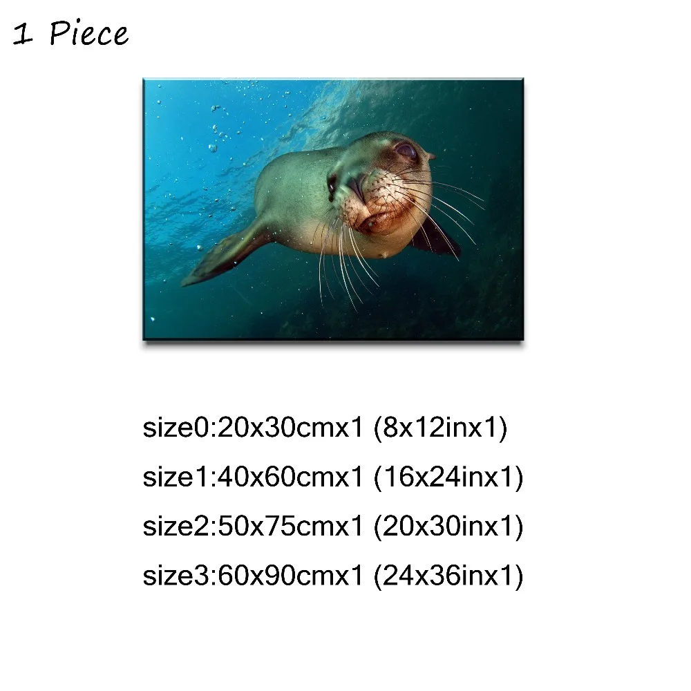 1P 