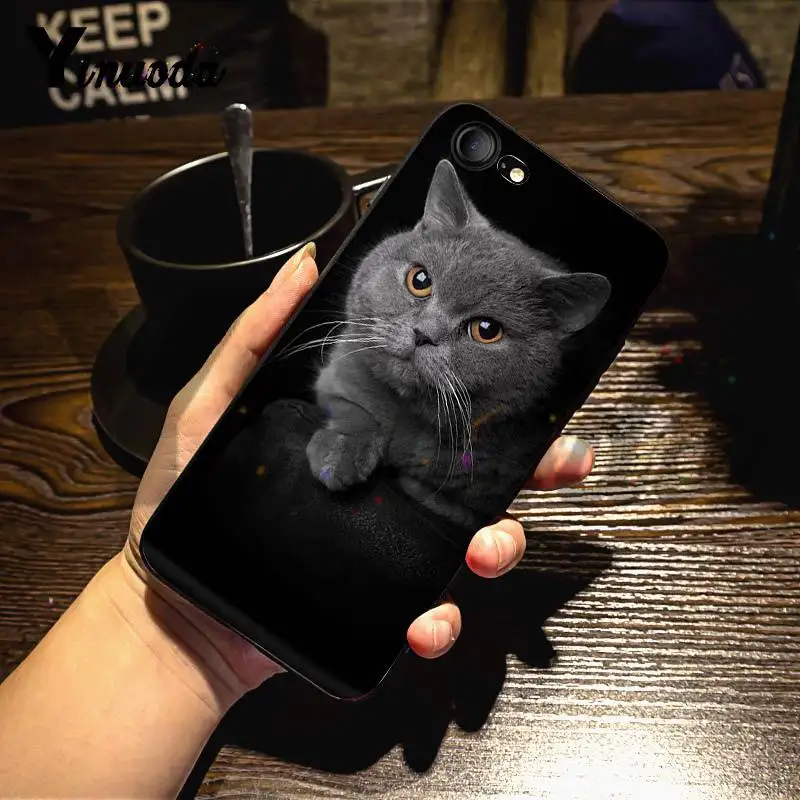 Чехол Yinuoda для iphone 7 6 X дизайнерский чехол с британской короткошерстной кошечкой