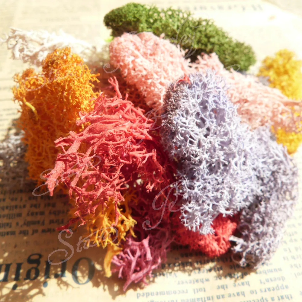 

20gram/package dry preserved dyed lichen moss for DIY glass bottle flowers deoration---color option
