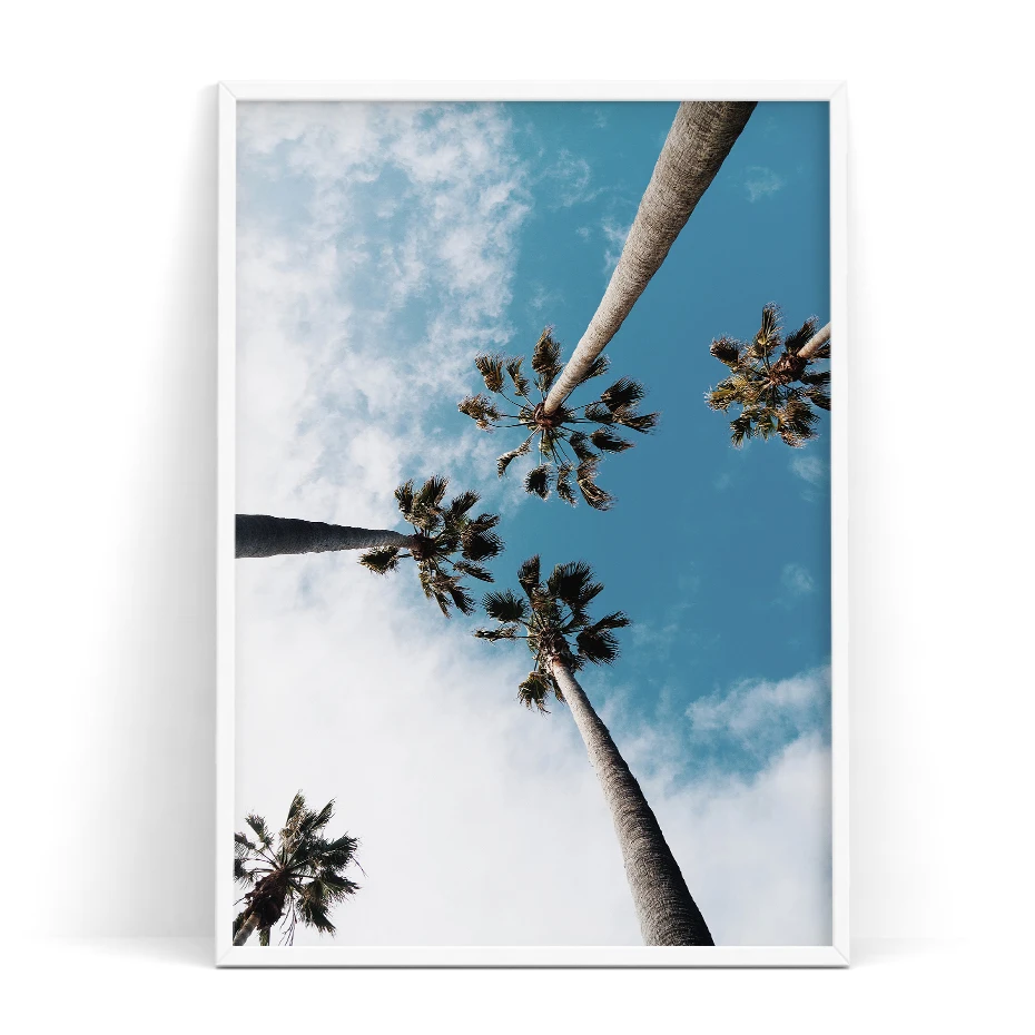 color_opt_6