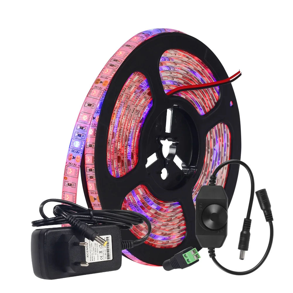 set-fs-01