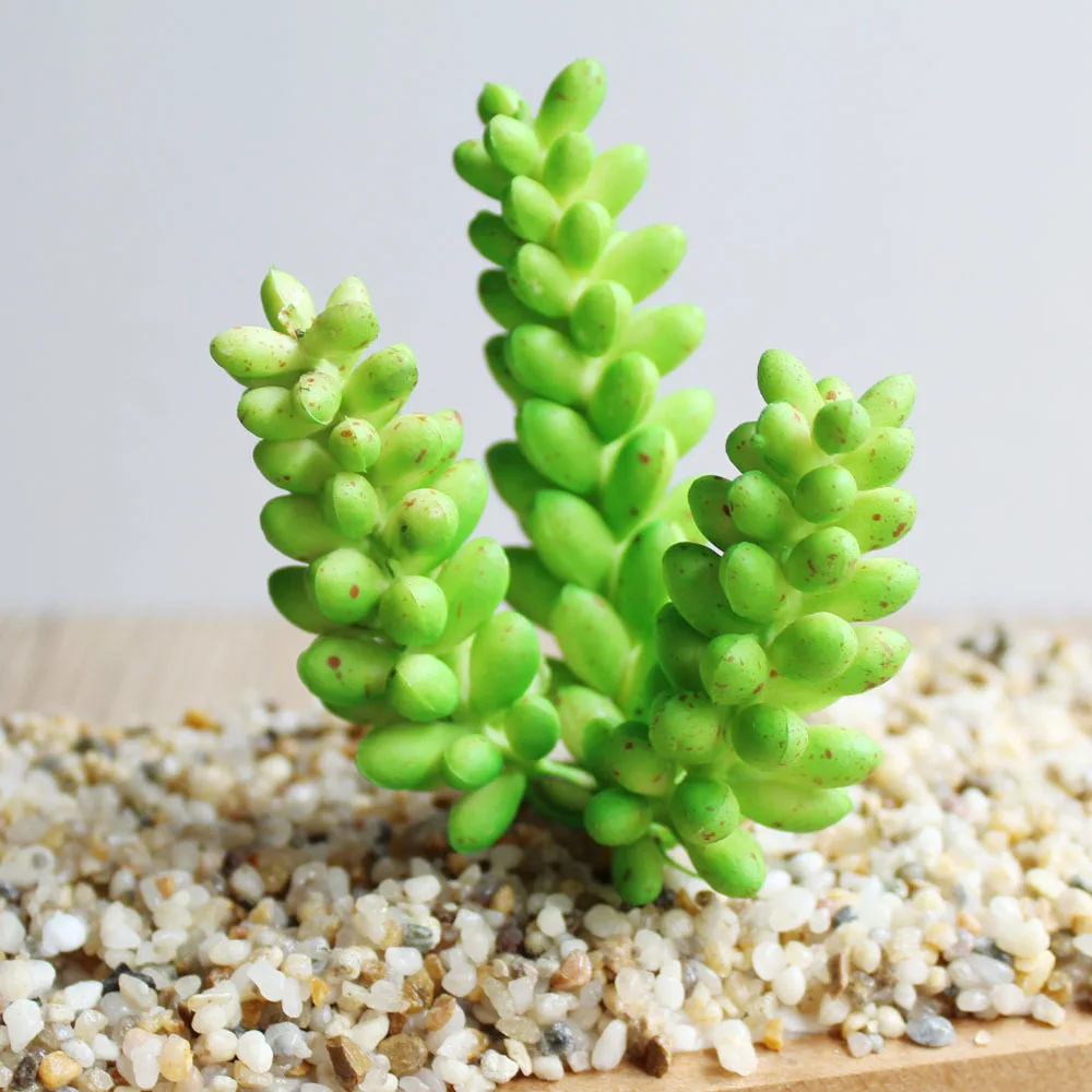 Green Fake Succulents Plants Aloe Artificial Succulent Plants