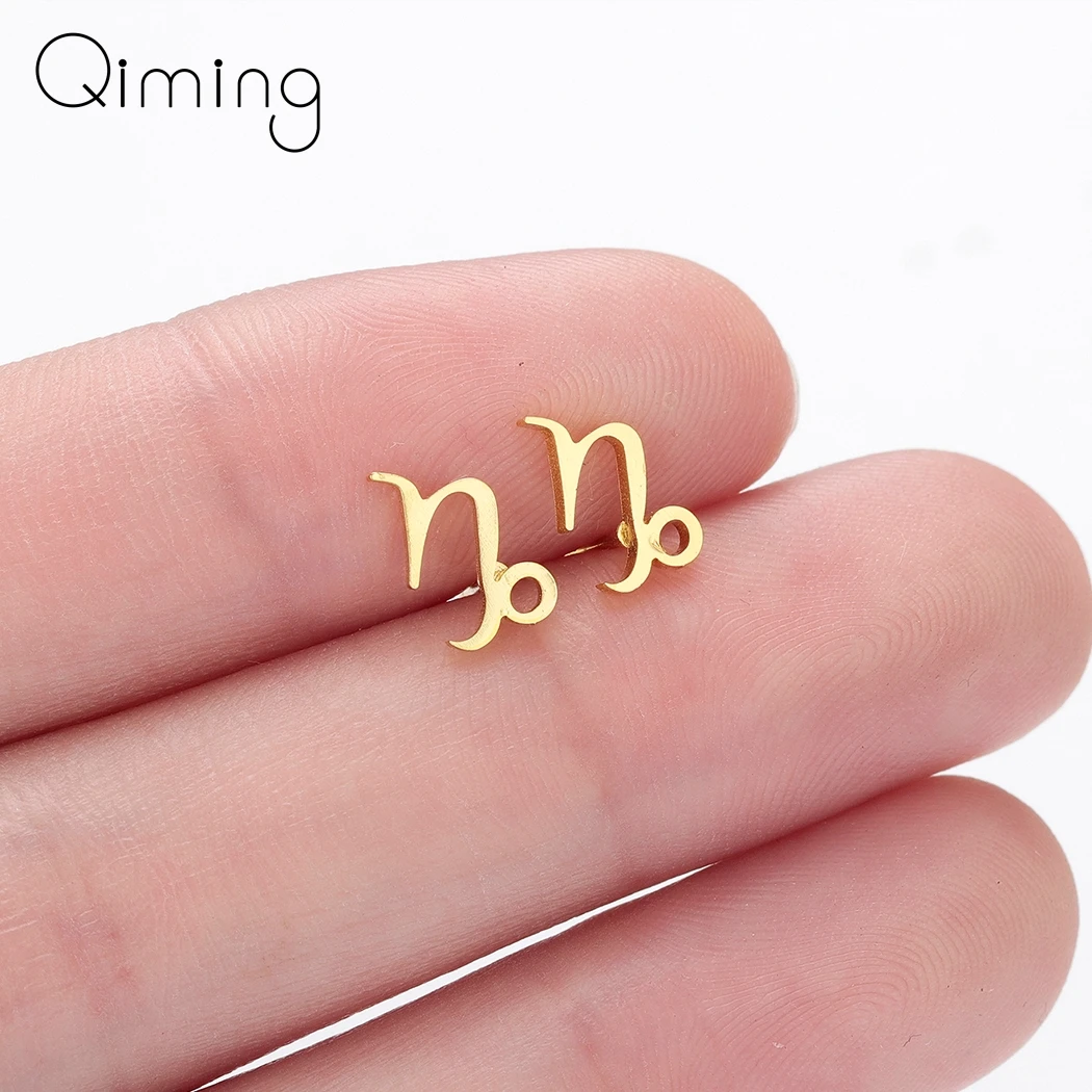 

Fashion Capricorn Gold Earrings Female Women Male Silver Jewelry Fashion Birthday Gifts Constellations Minimal Earring For Girls